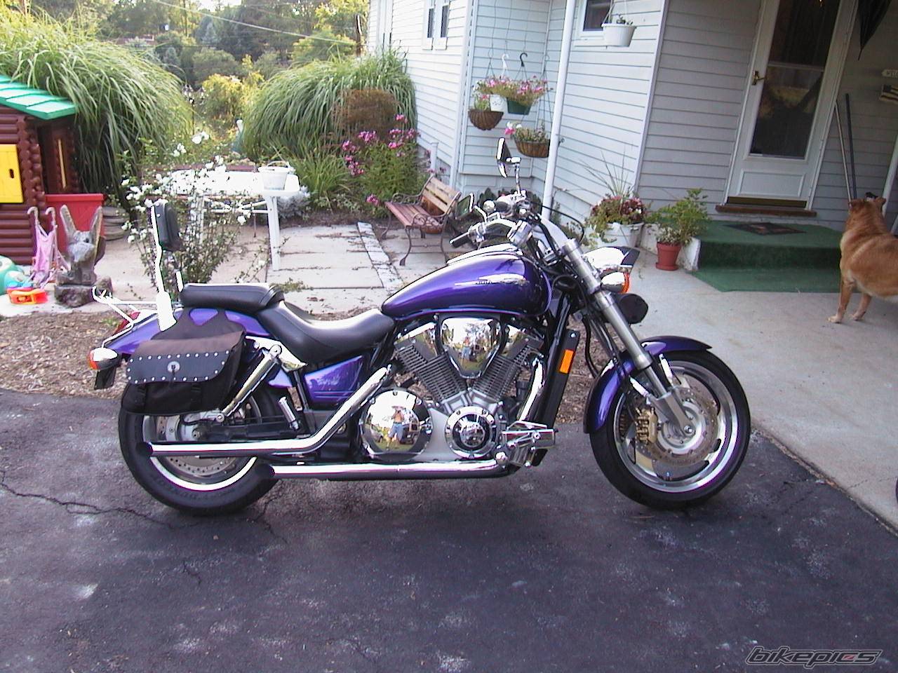 Photo 36462