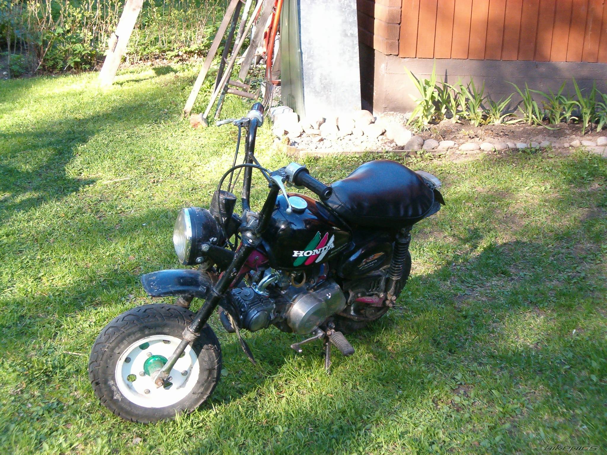 Photo 364636
