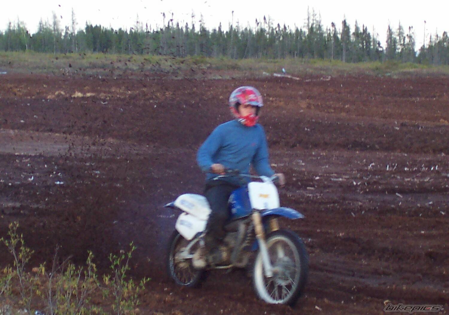 Photo 364785