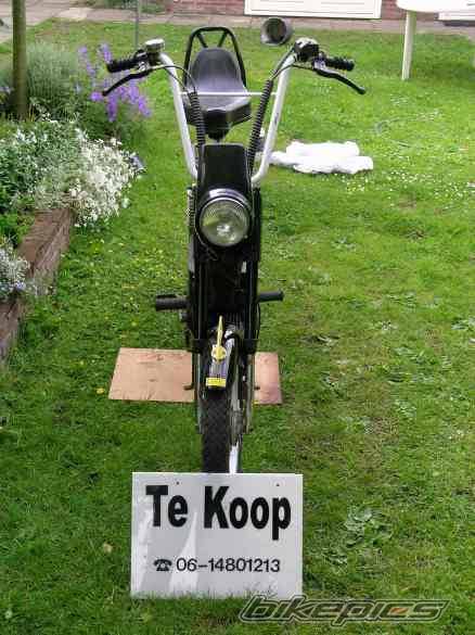 Photo 364921