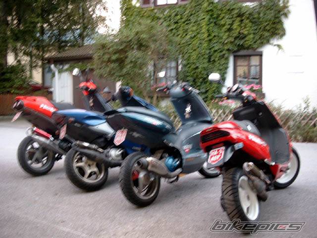 Photo 36502