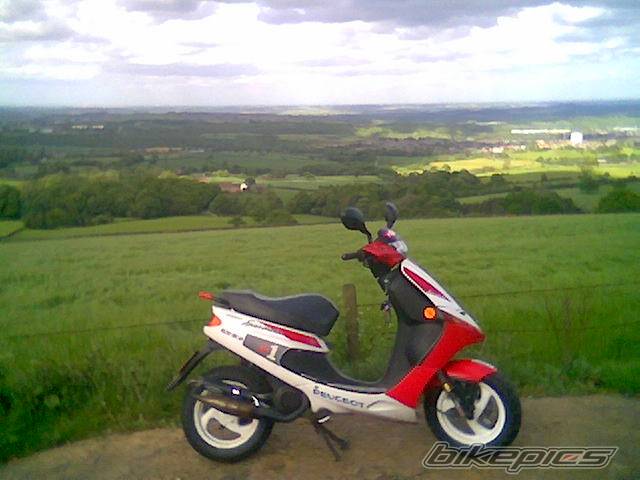 Photo 365061