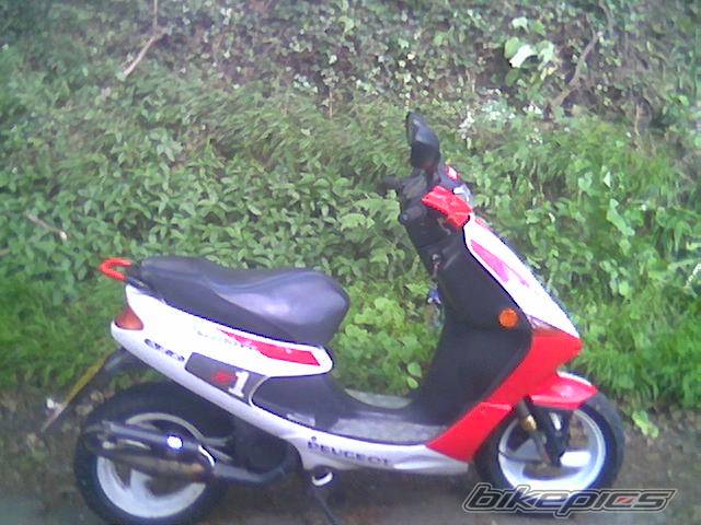 Photo 365063