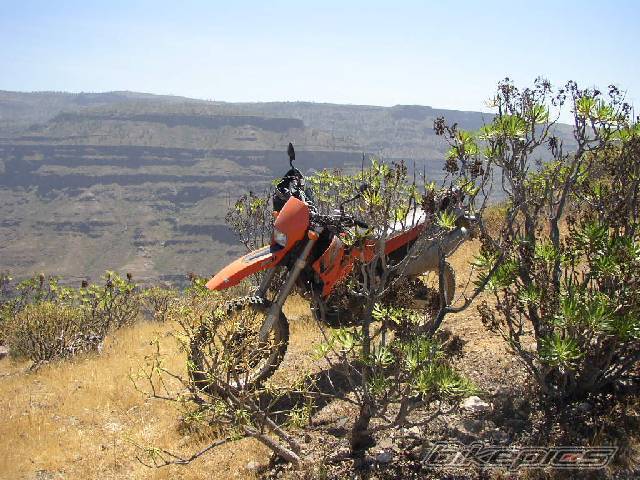 Bike Photo 365252