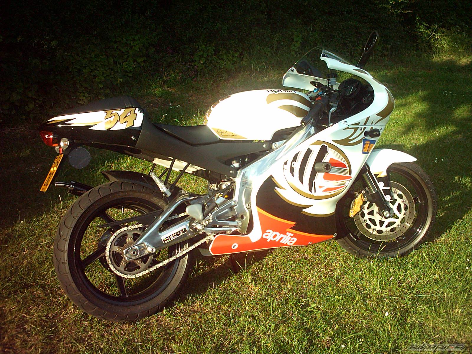 Photo 365262
