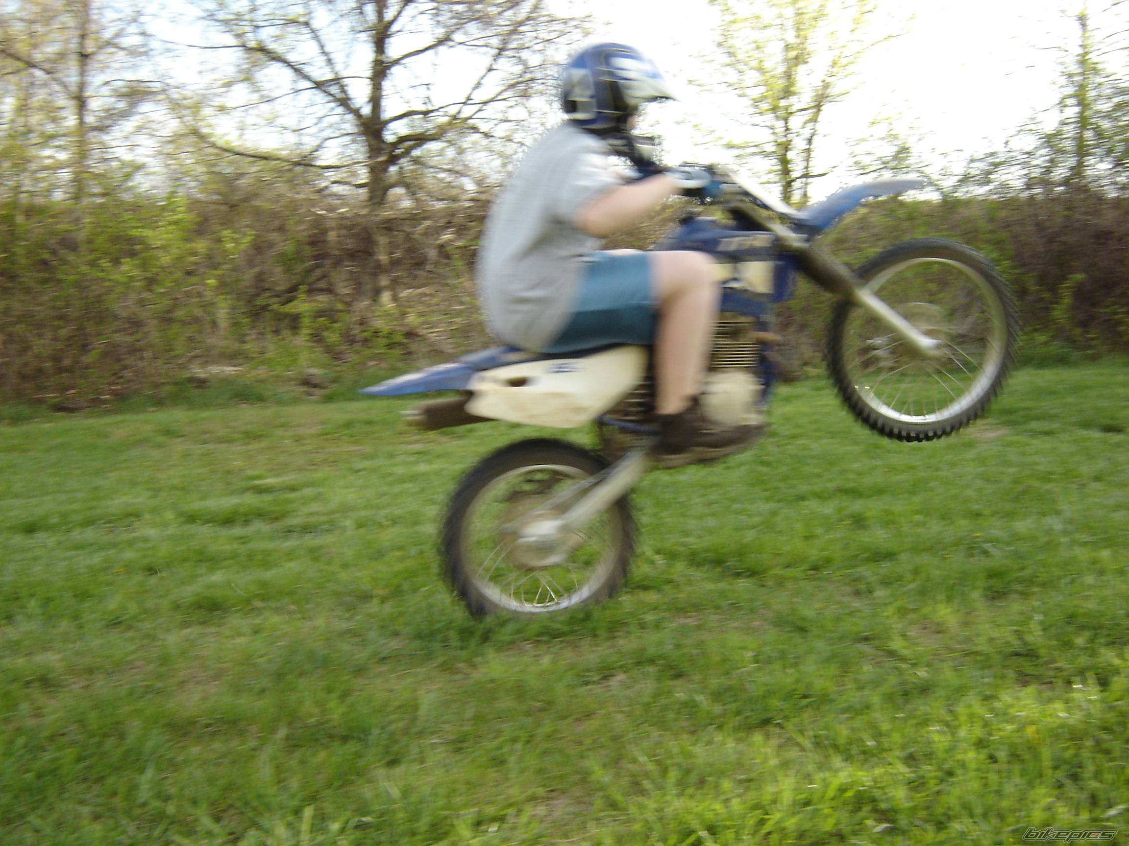 Photo 365431