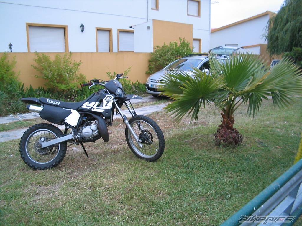 Photo 365456