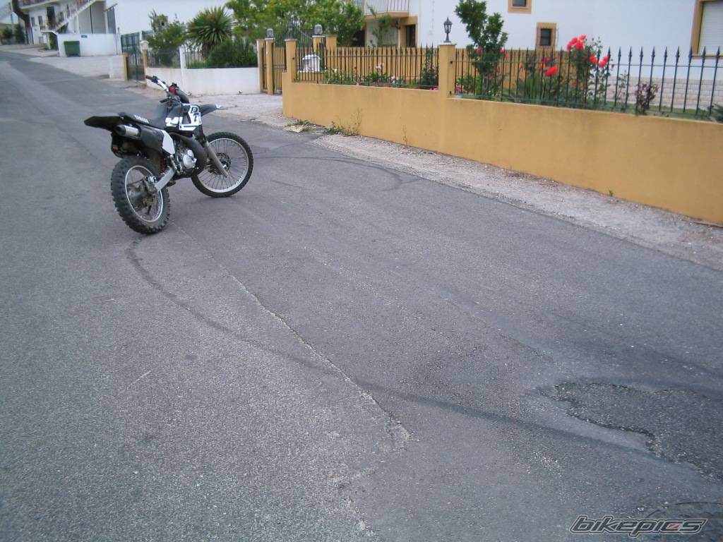 Photo 365464