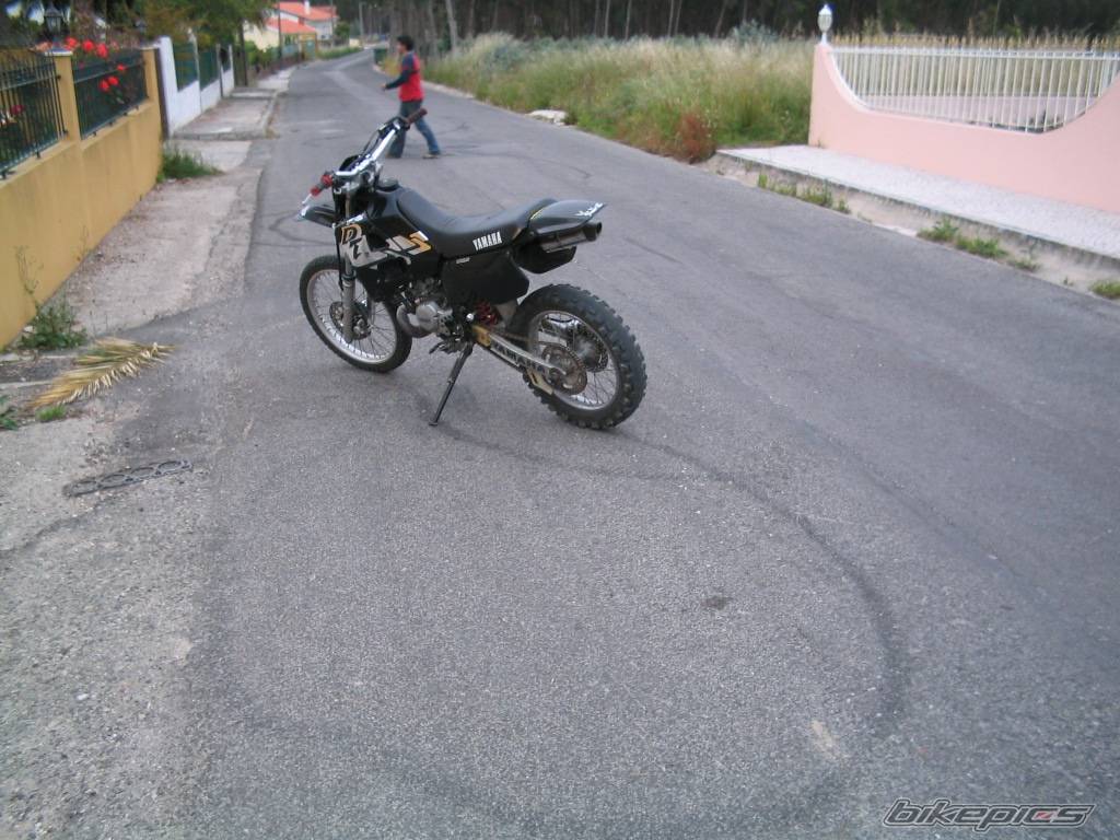 Photo 365468