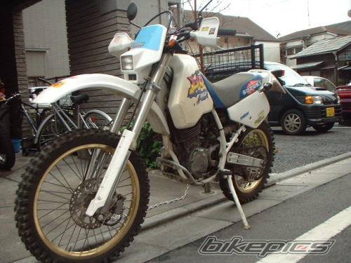 Photo 365511