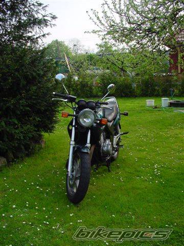 Photo 365576