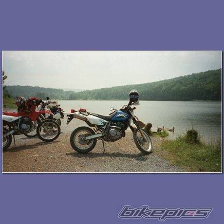 Photo 36580