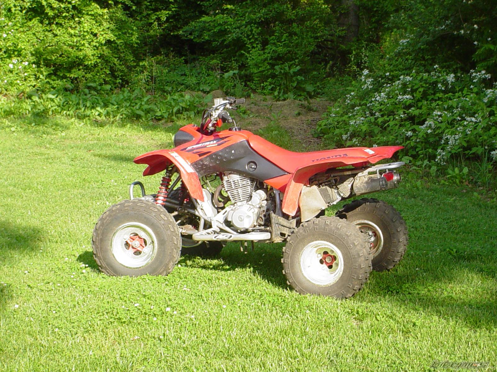 Photo 365974