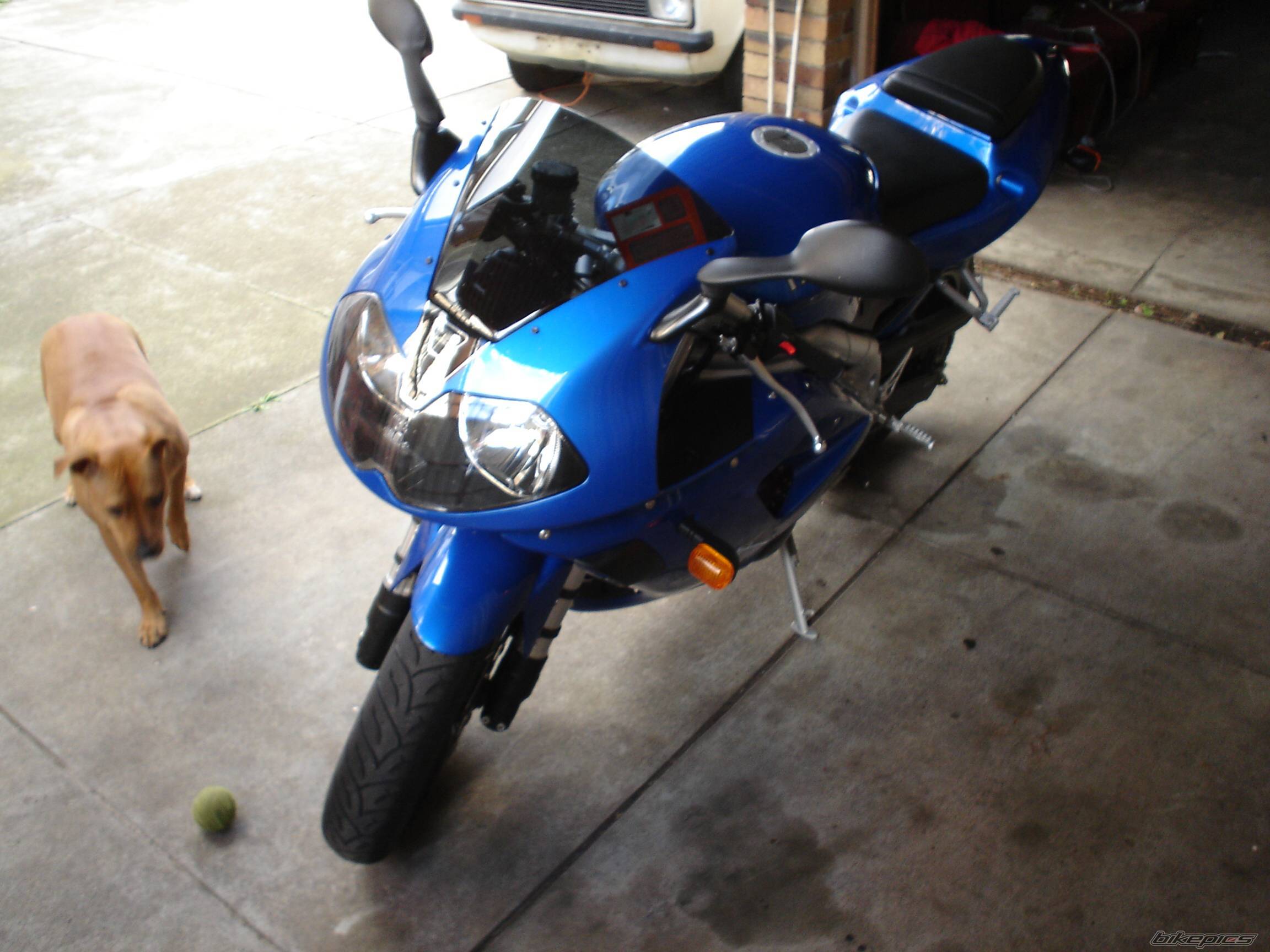 Photo 365996
