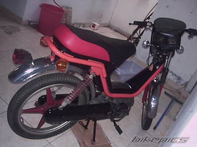 Photo 366031