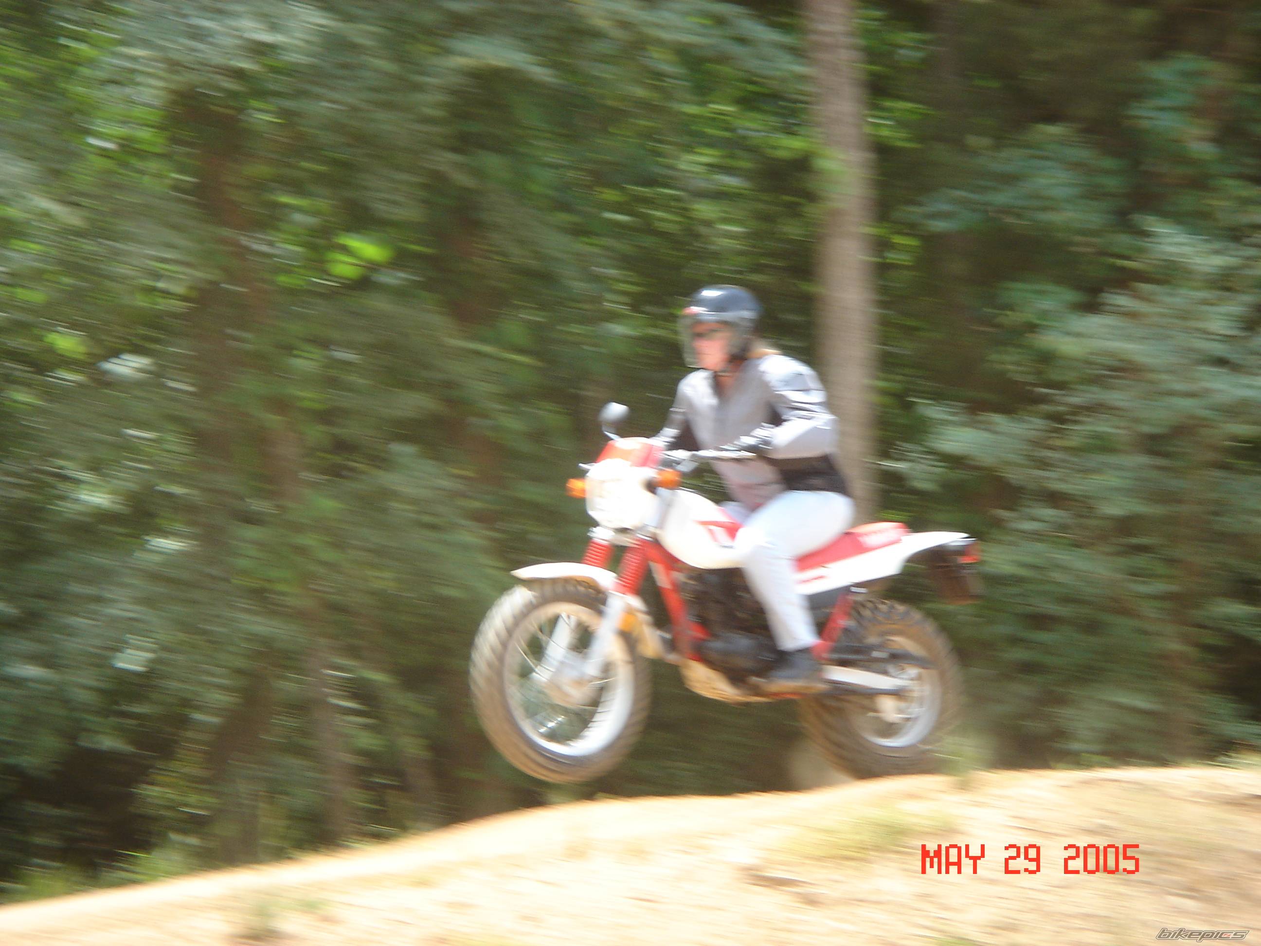 Photo 366337