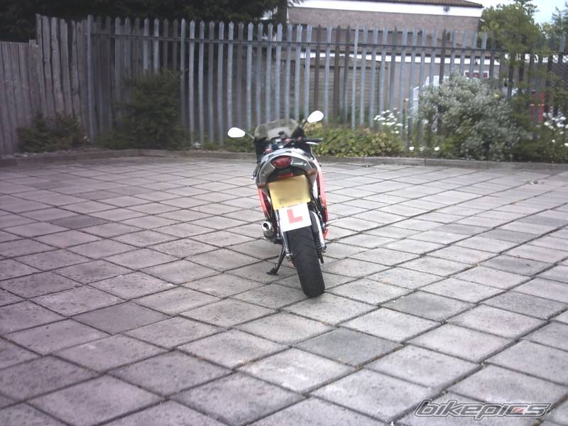 Photo 366342