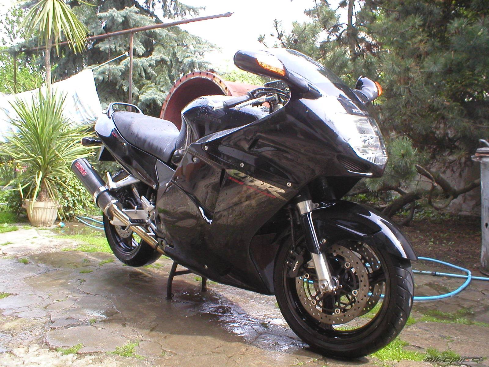 Photo 366379