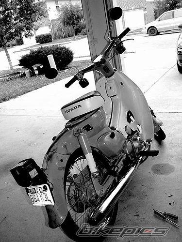 Photo 366382