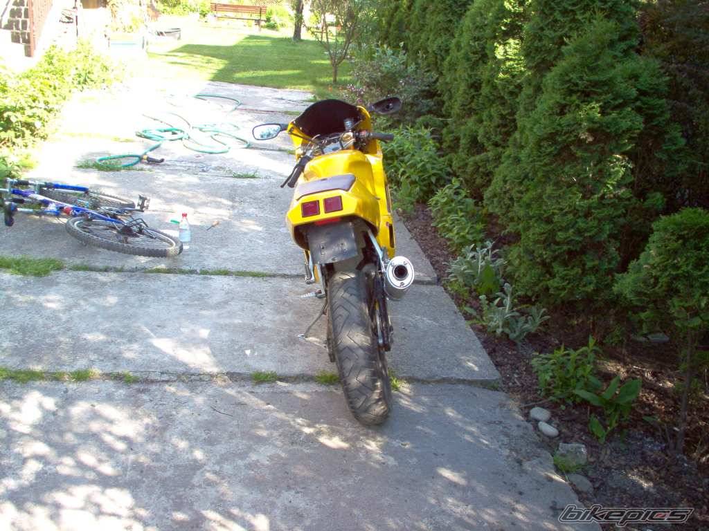 Photo 366402
