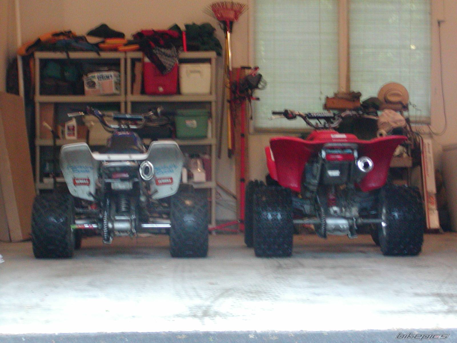 Photo 366442