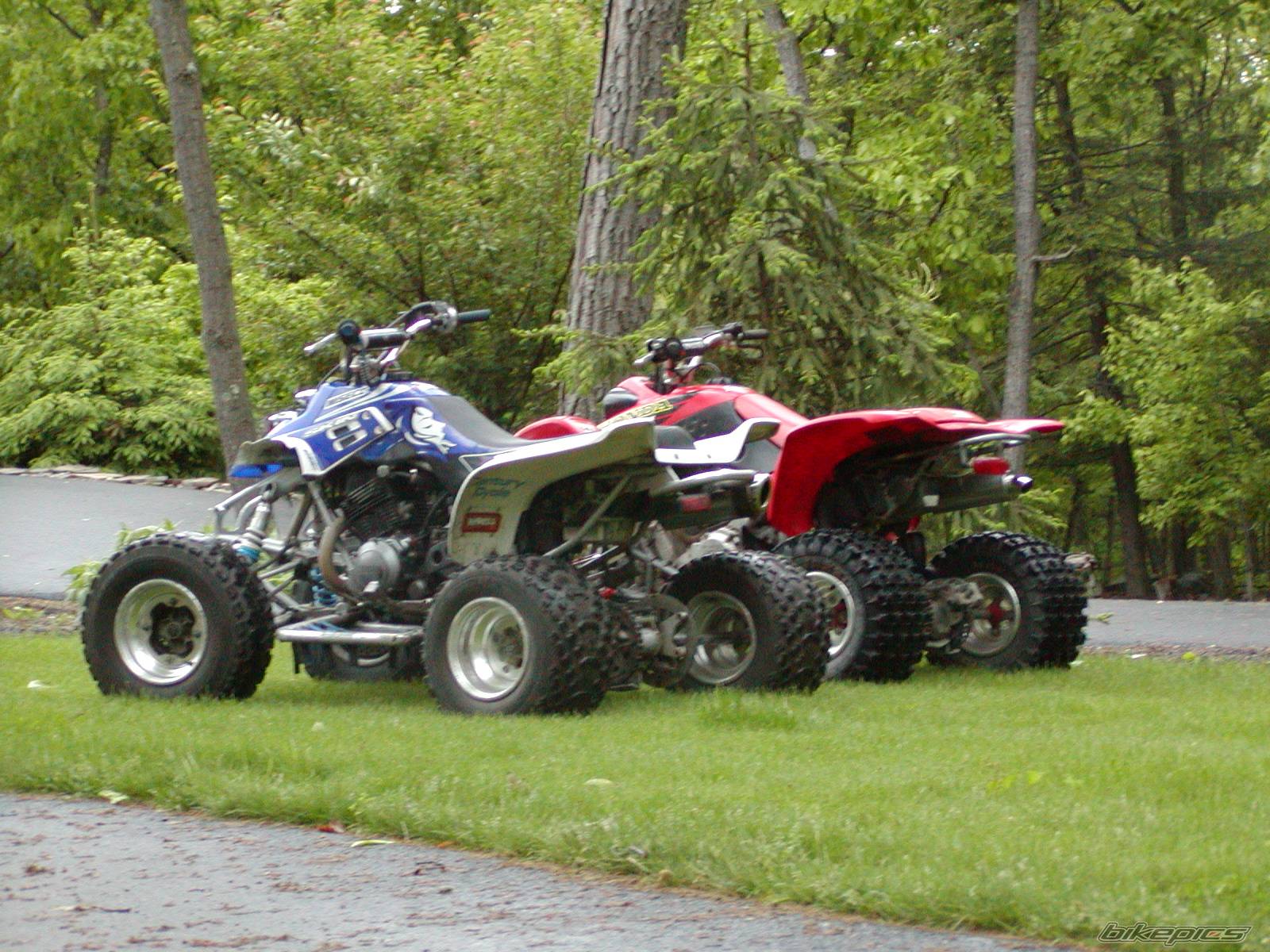 Photo 366449
