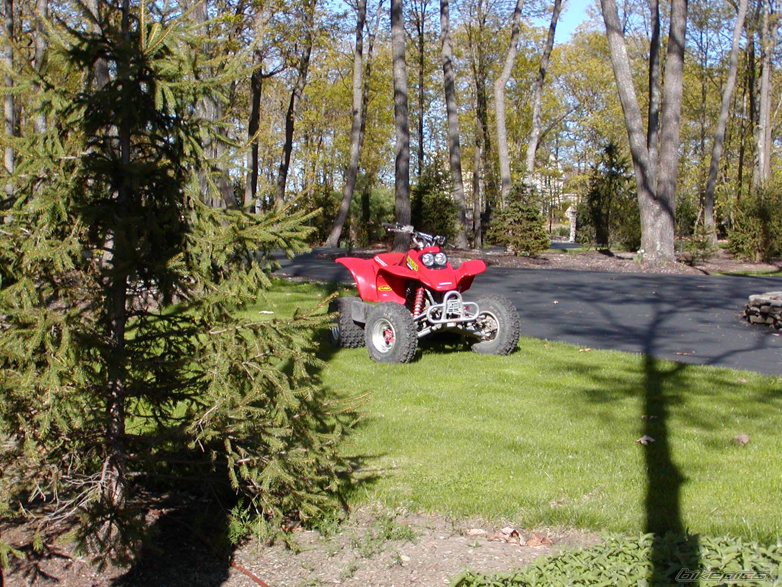 Photo 366489