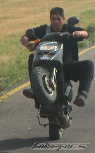 Photo 366522