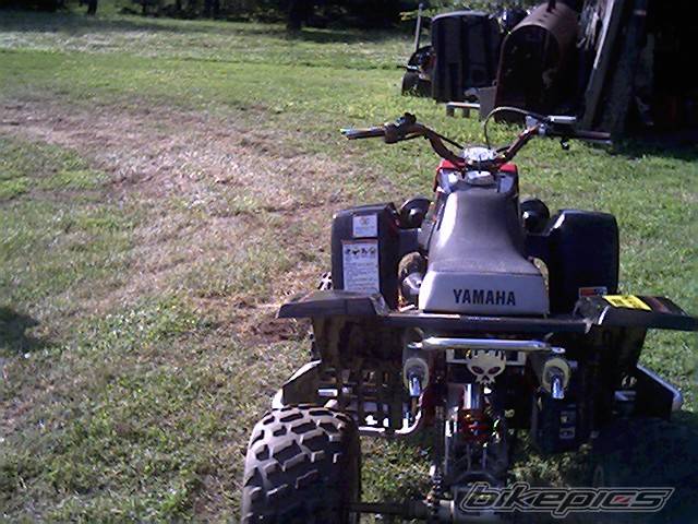 Photo 366578