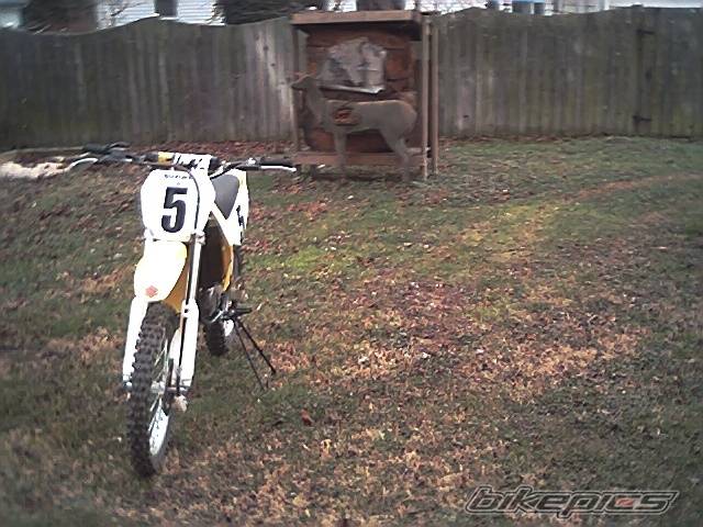 Bike Photo 366584