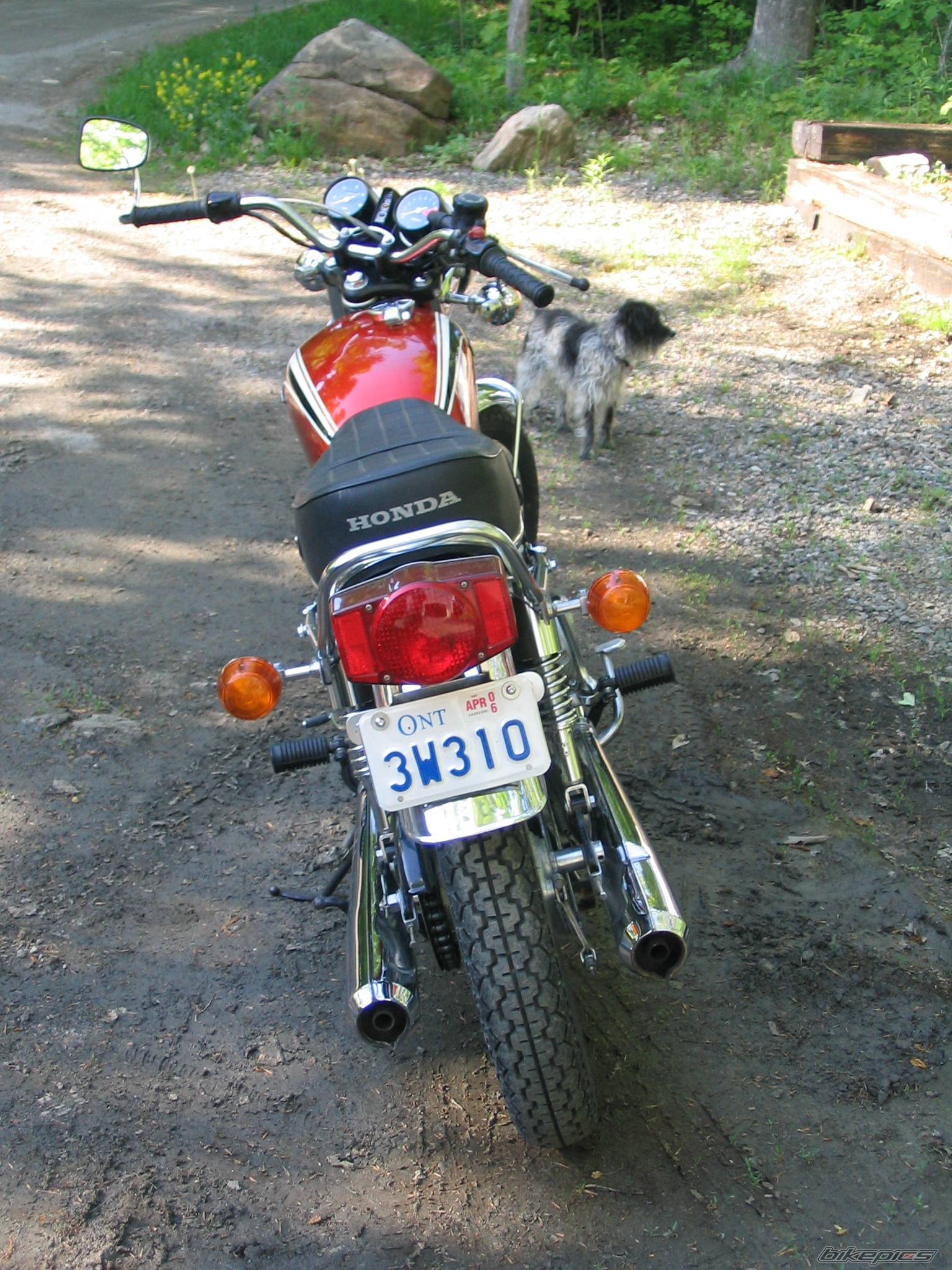 Bike Photo 366598