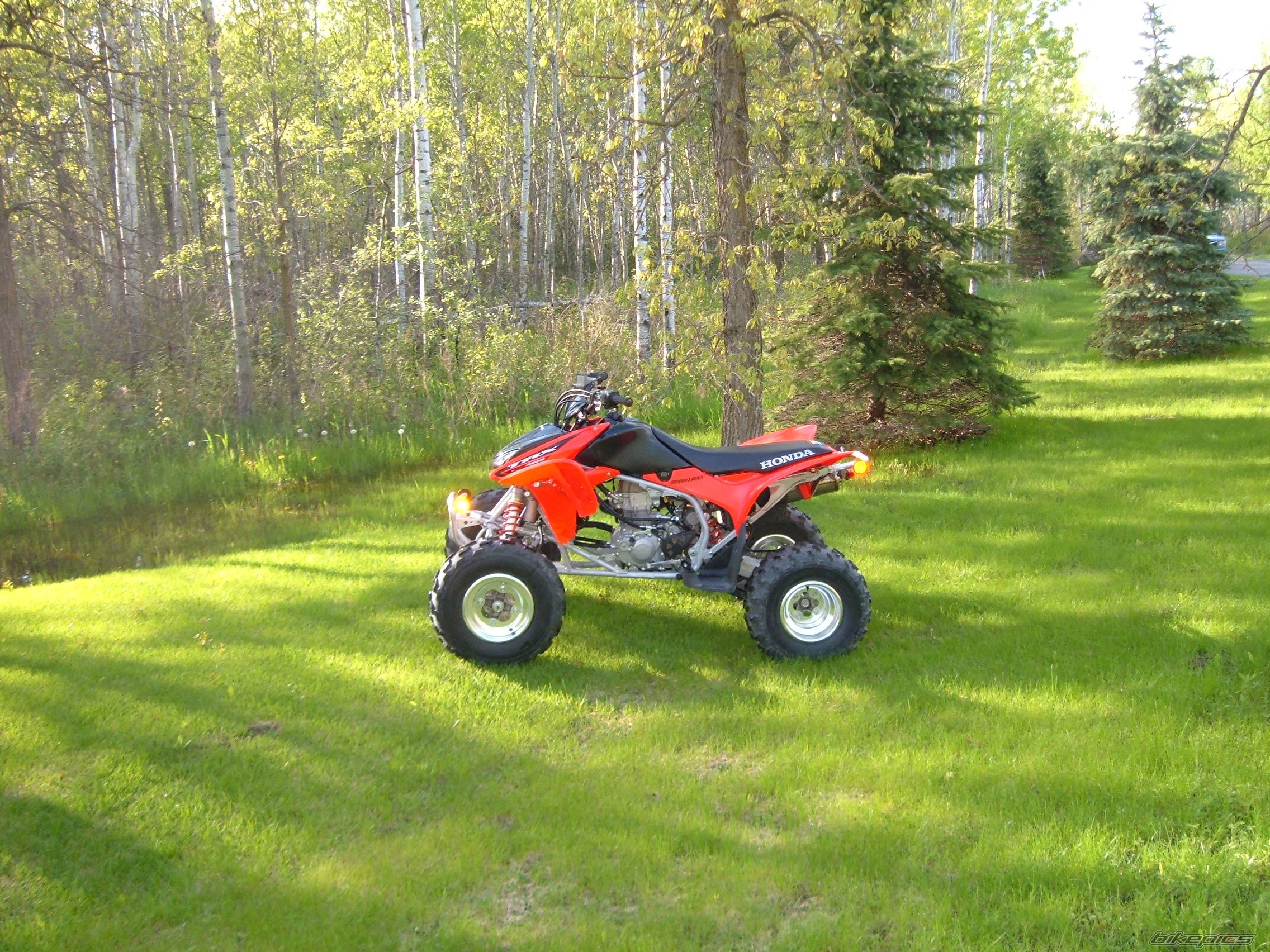 Photo 366611