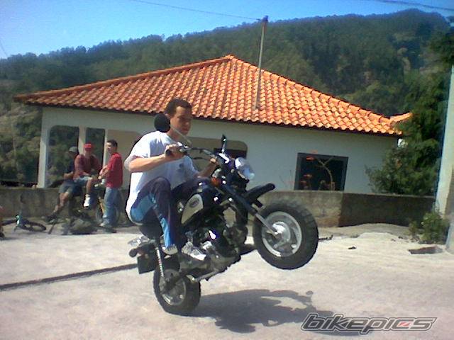 Photo 366668