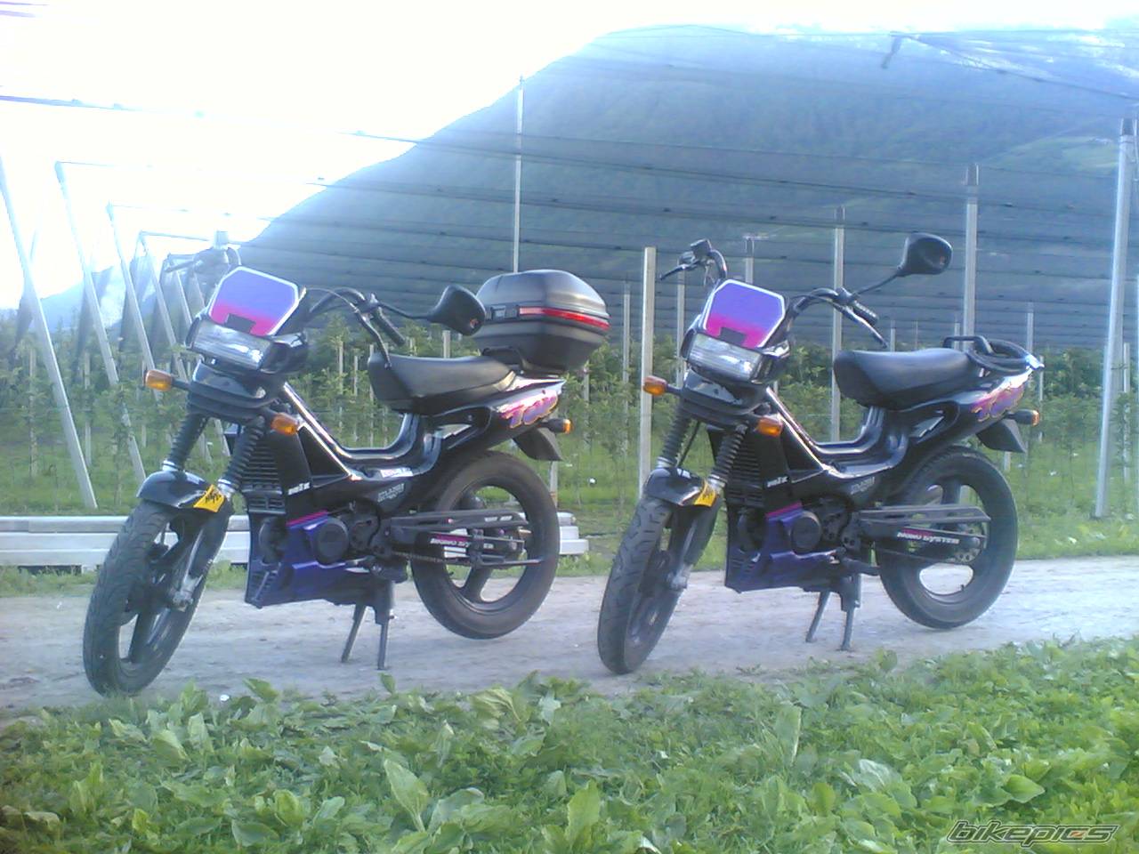 Photo 366715