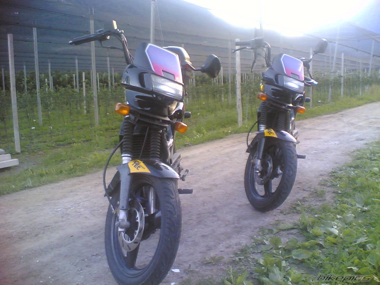 Photo 366717