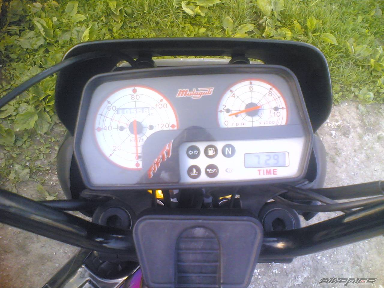 Photo 366719