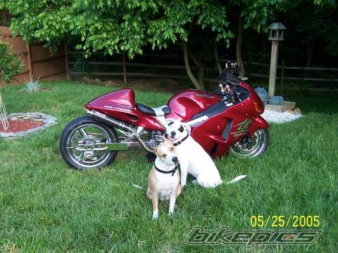 Photo 366754