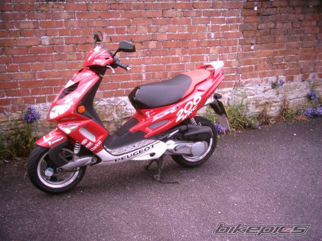 Photo 366872