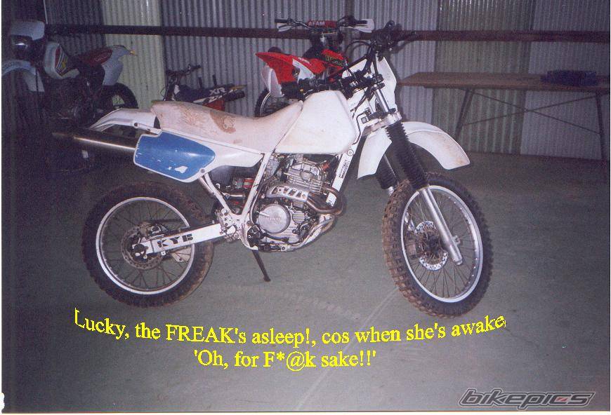 Photo 36689