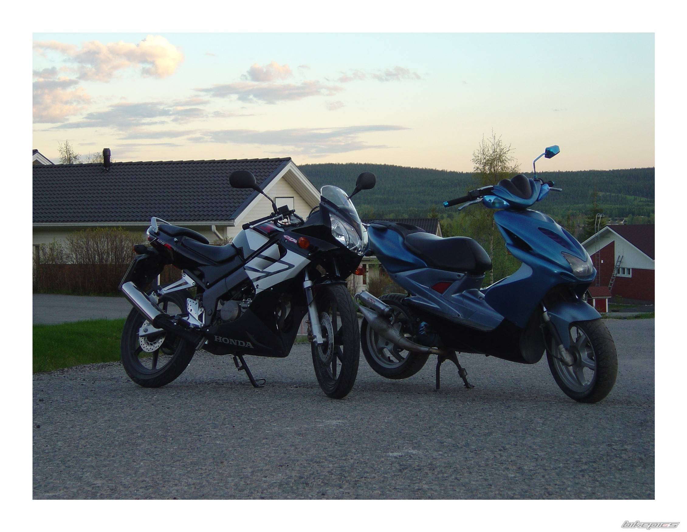 Photo 366946