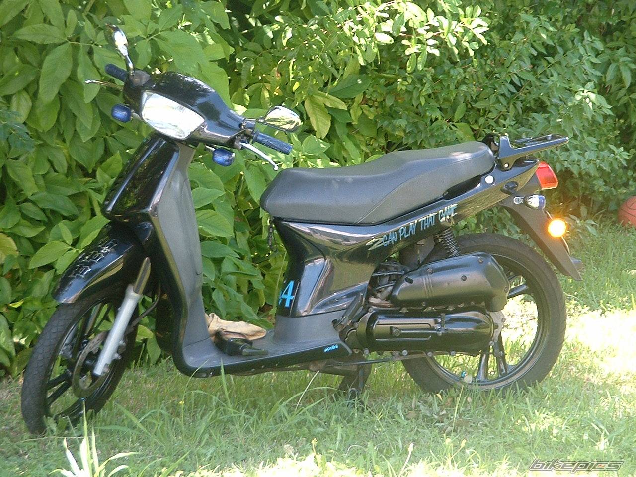 Photo 366991