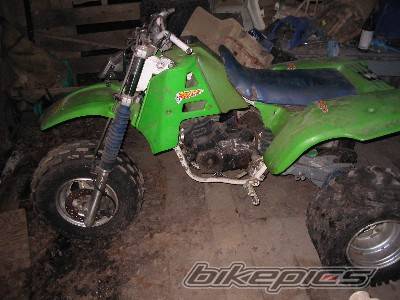 Photo 367052