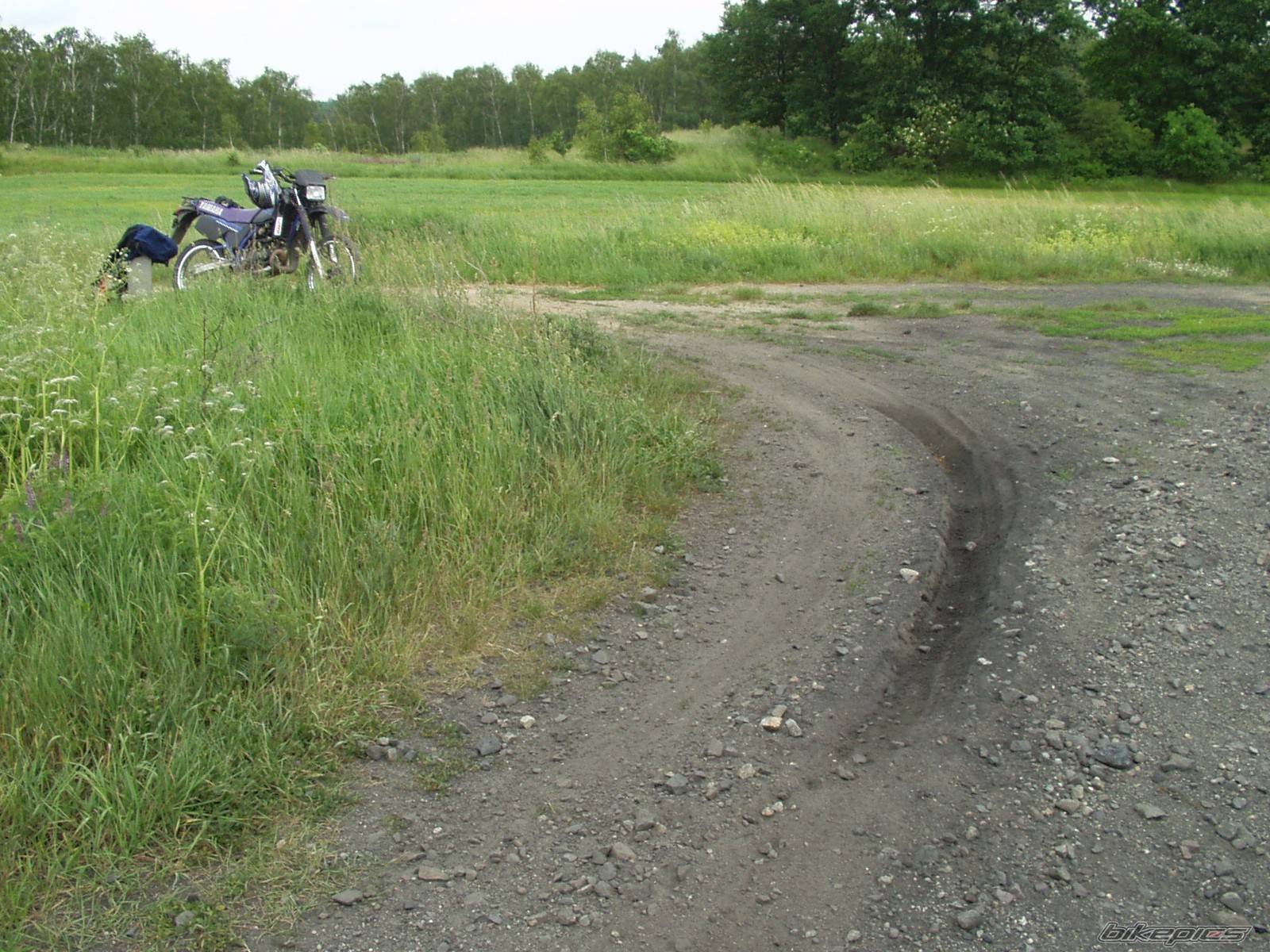 Photo 367212