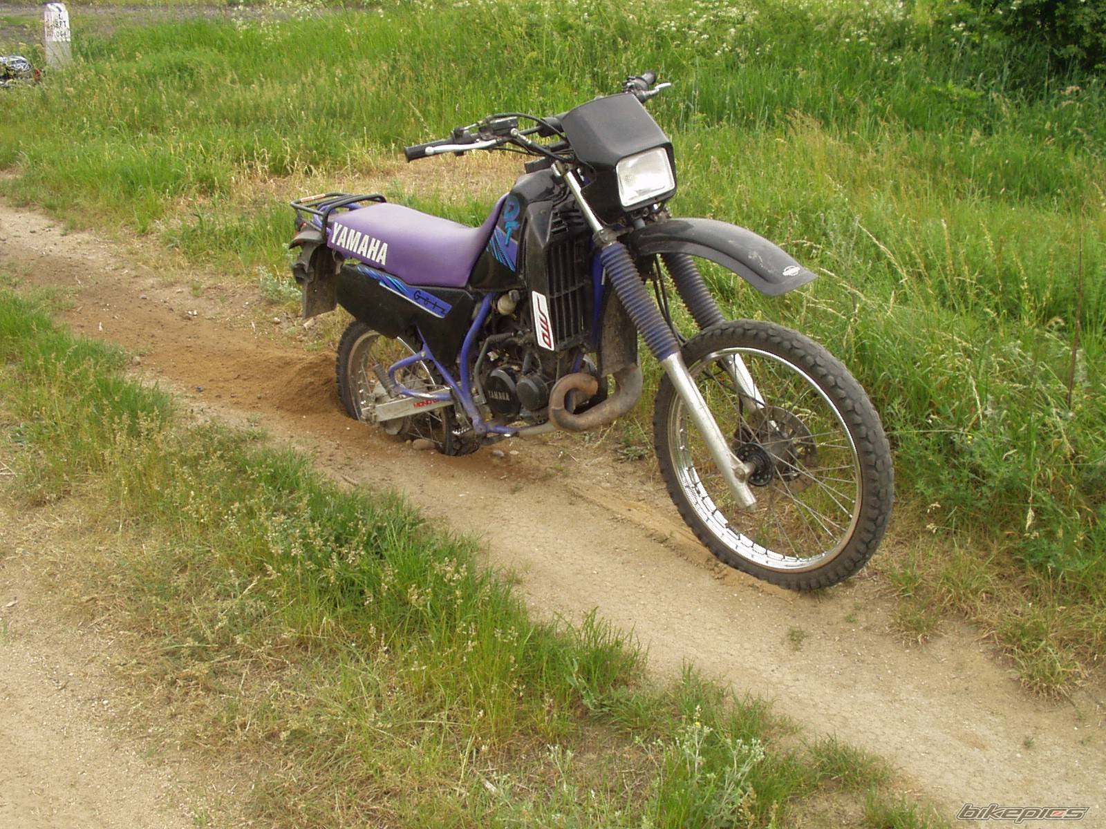 Photo 367215