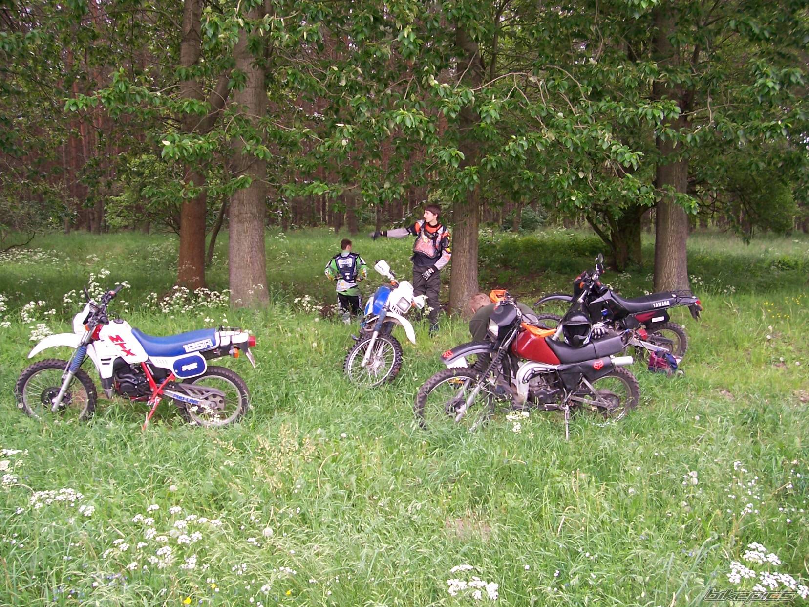 Photo 367262