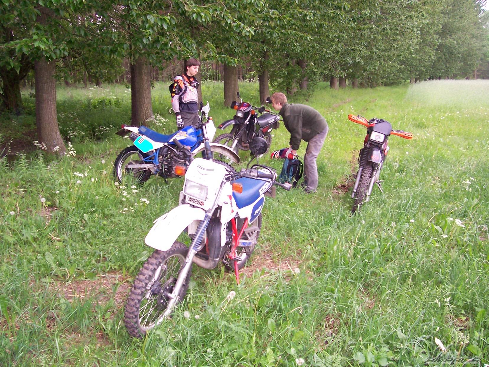 Photo 367266