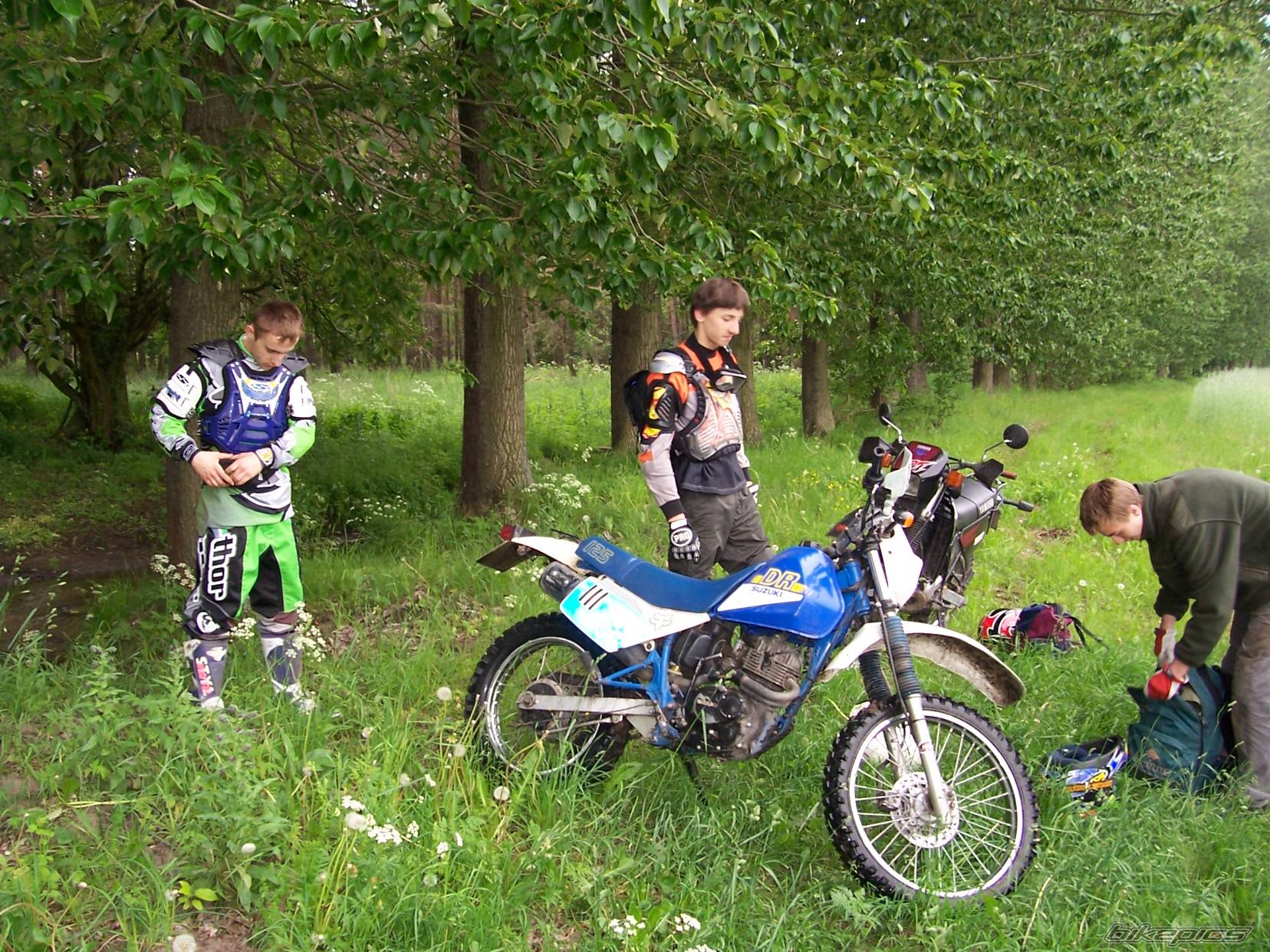 Photo 367267
