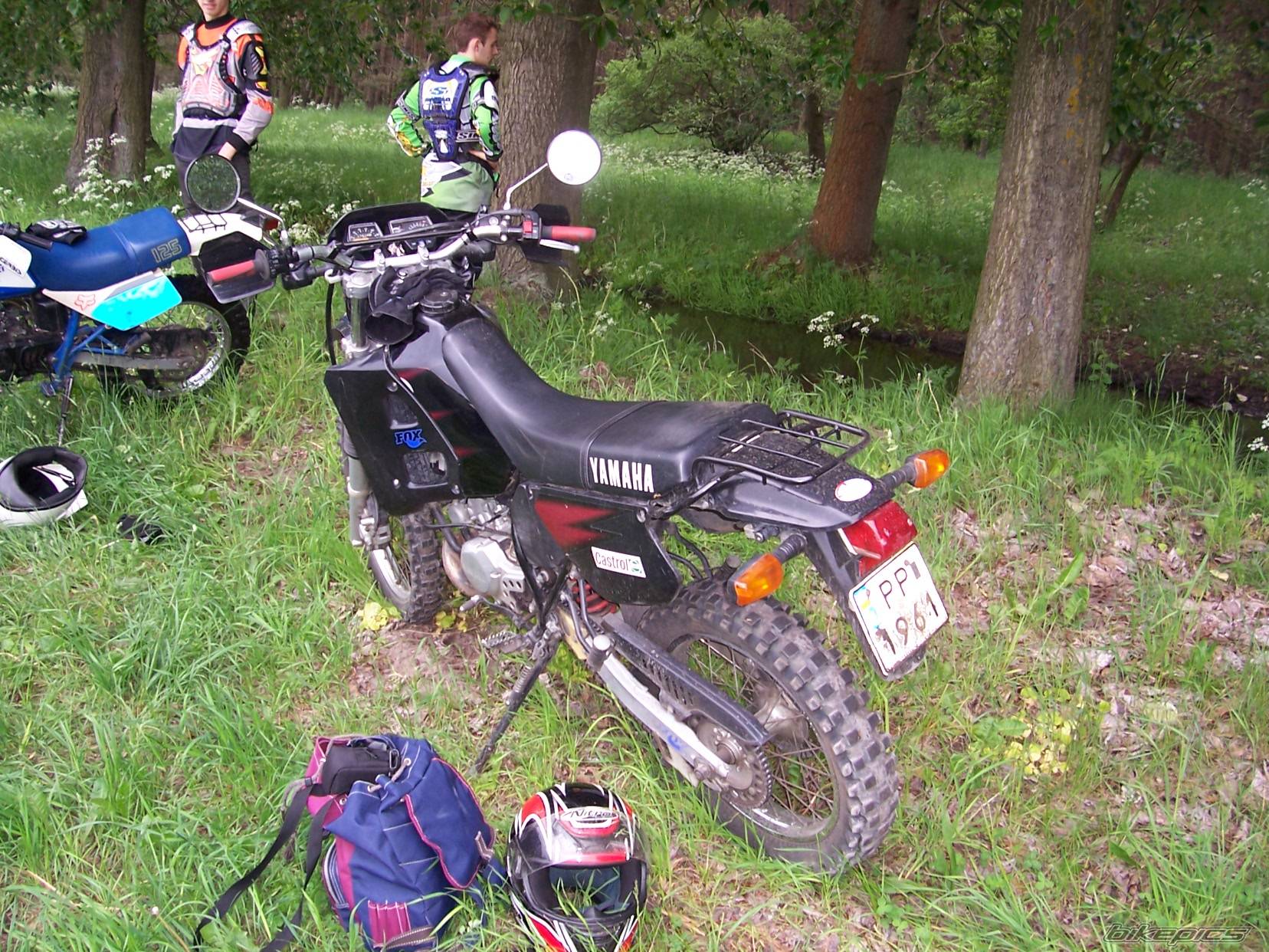 Photo 367272