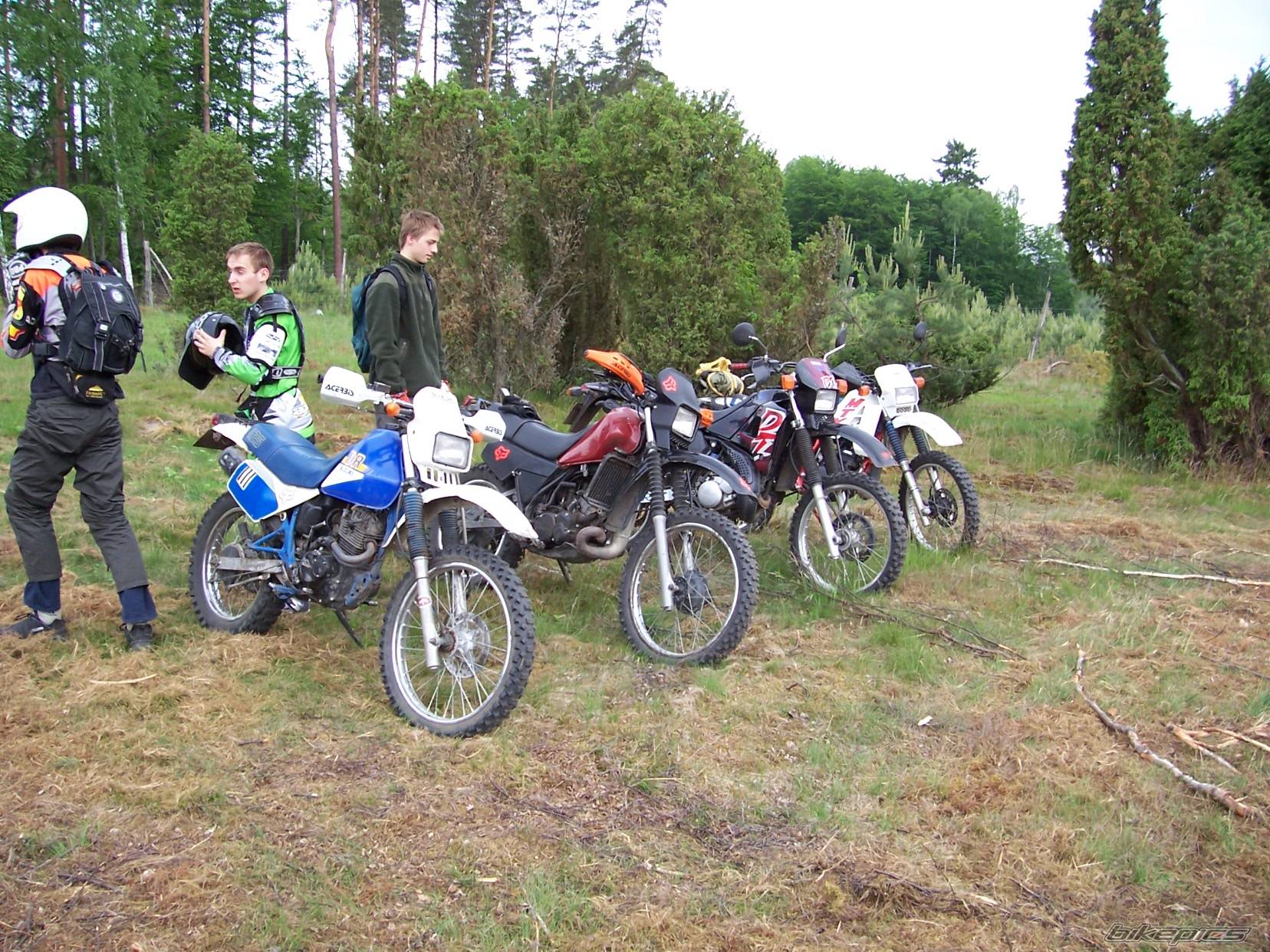 Photo 367290