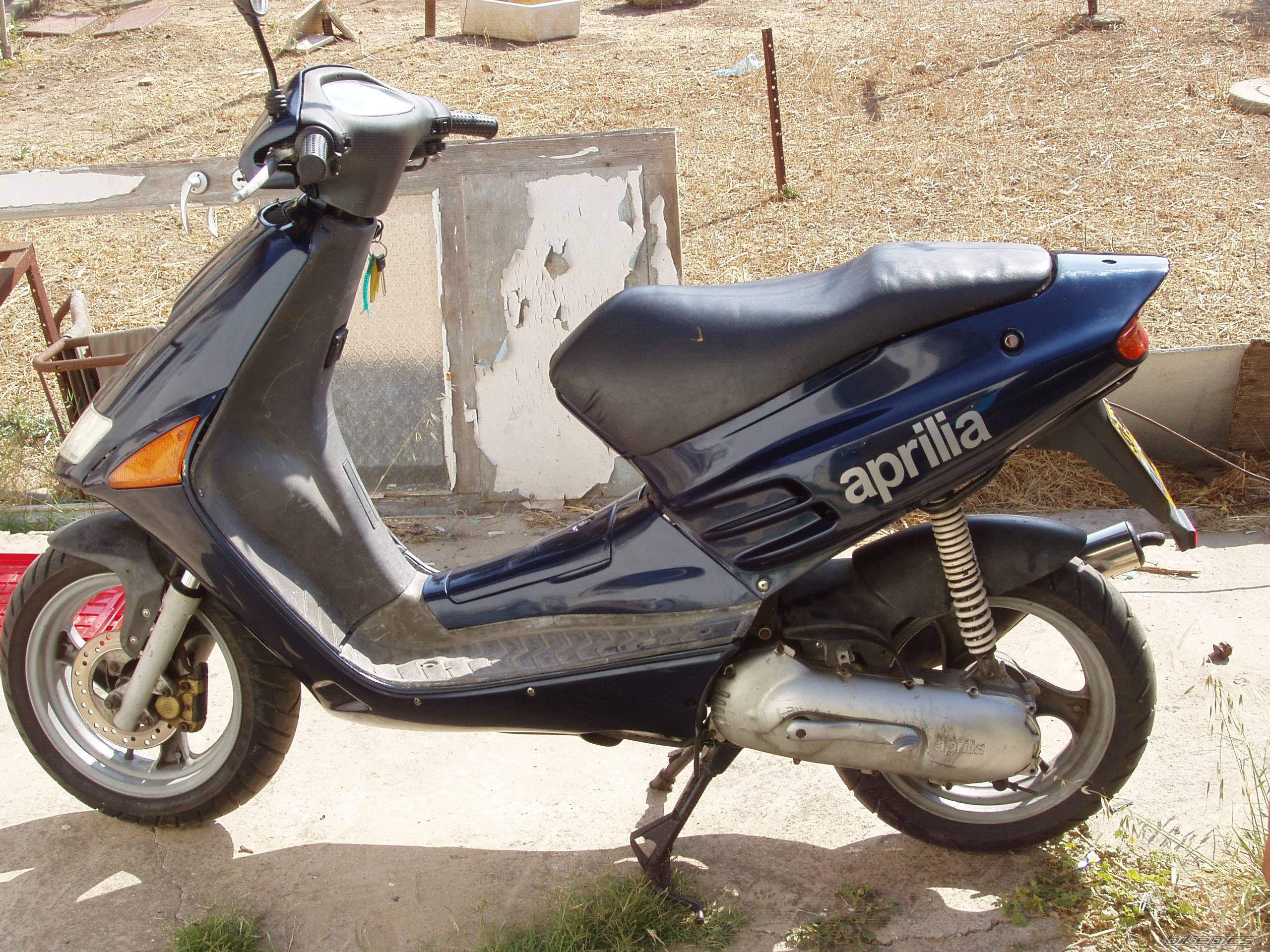 Photo 367292